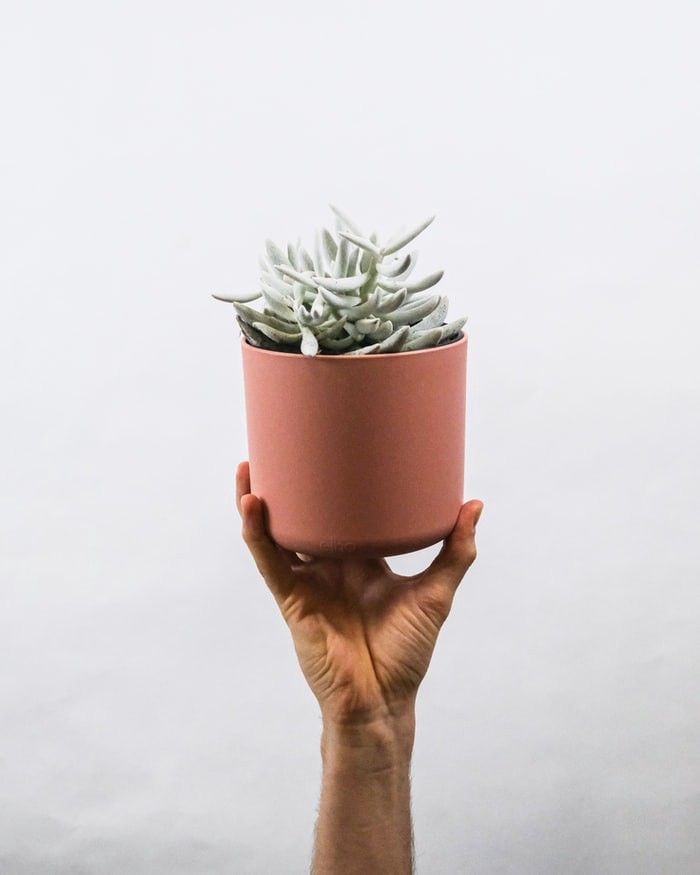 Top 5 Corporate Gifting Trends in 2025 That You Should Be Aware Of